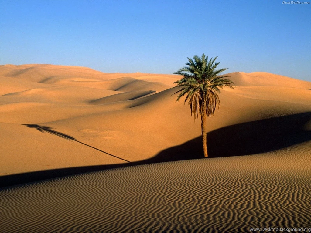 Beautiful Sahara Desert Wallpapers