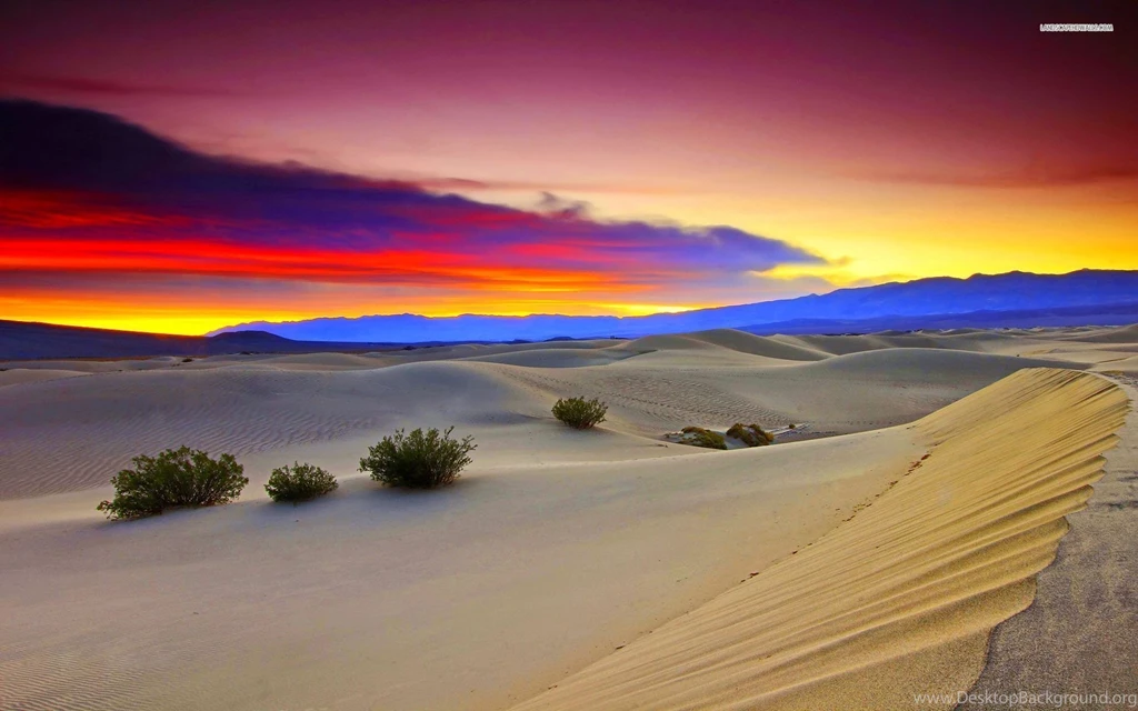 Sunset Desert Wallpapers HD