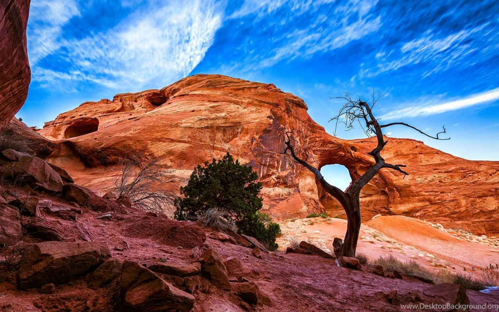 Desert Wallpapers