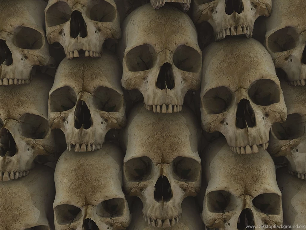 Download Texture: Skull, Background, Texture, Photo, Skulls ...