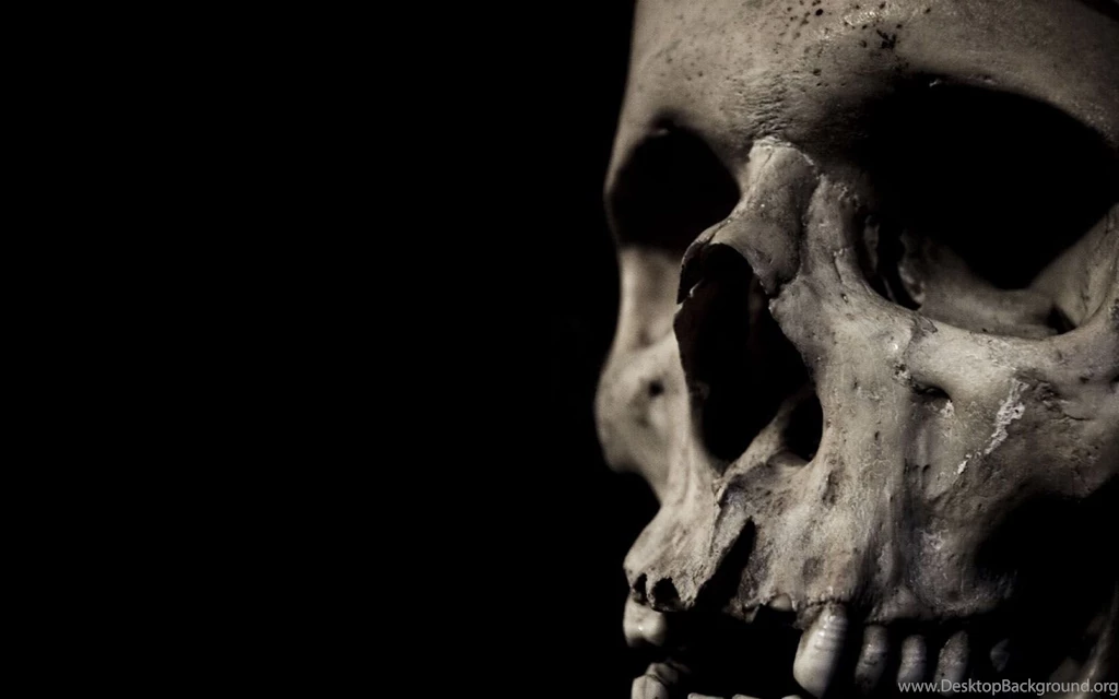 Skulls, Black Backgrounds :: Wallpapers