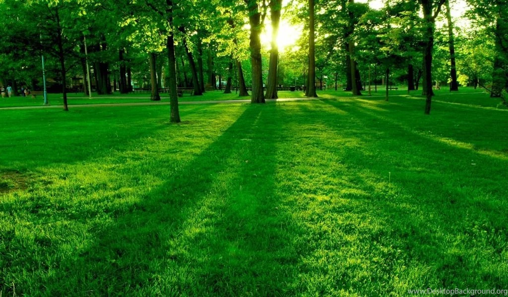 Page 2: Netbook 1024x600 Nature Wallpapers, Desktop Backgrounds HD ...