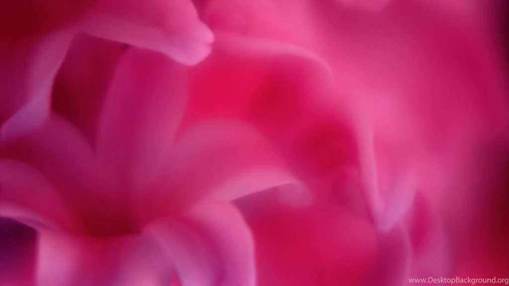 Pink Desktop   Desktop Backgrounds