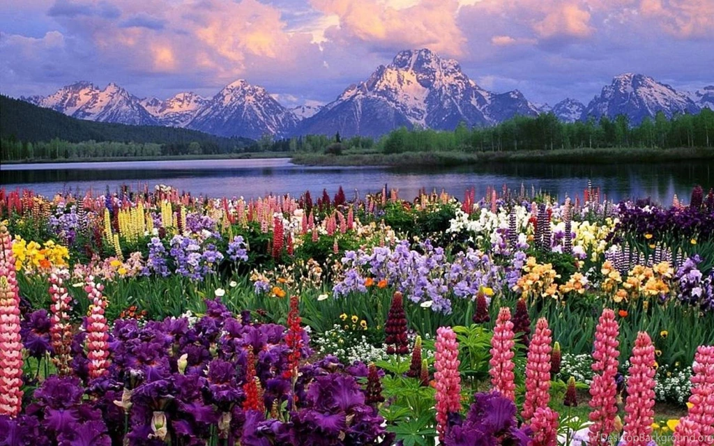 Spring Wallpaper For Desktop.jpg