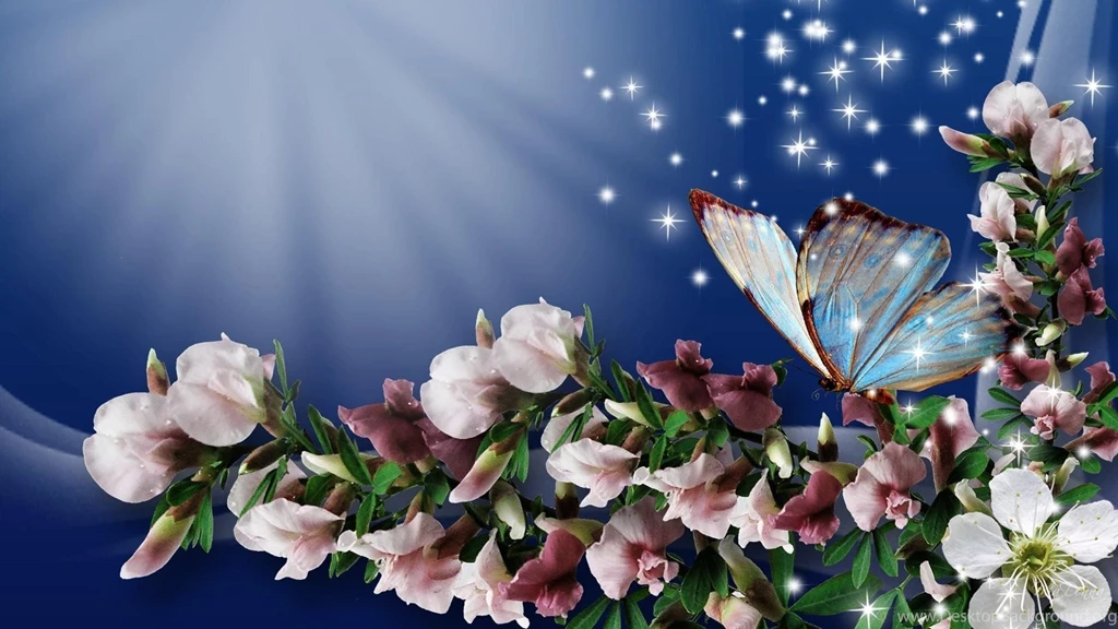 Spring Butterfly HD Desktop Backgrounds 7755 HD Wallpapers Site