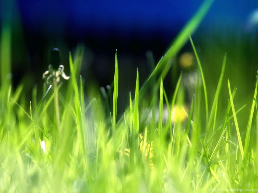 Spring Desktop Backgrounds Wallpapers 103766