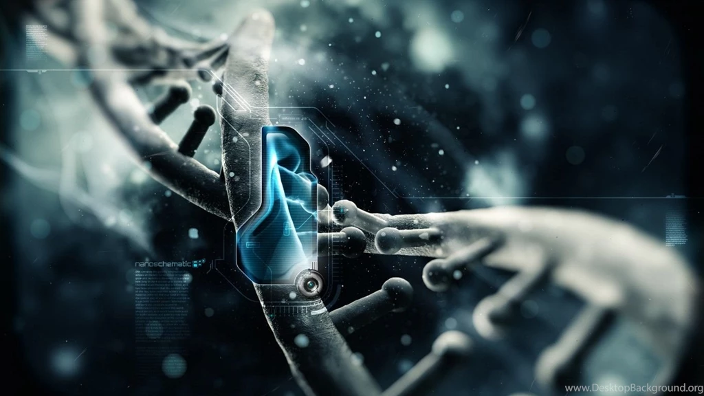 Top HD Wallpapers 1366x768 1.jpg