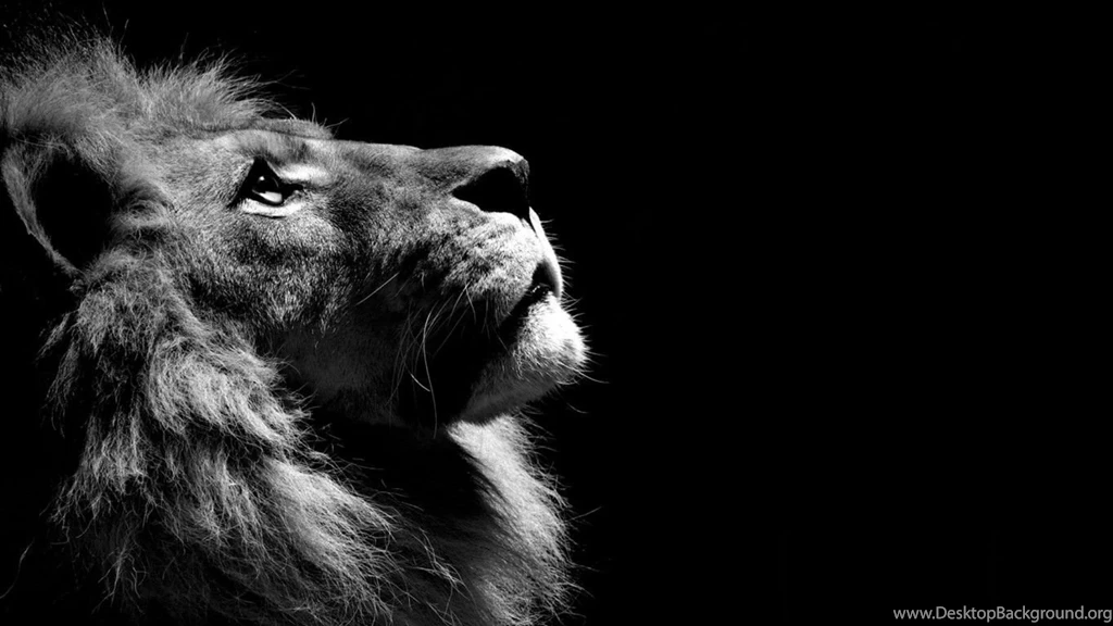 S HD Wallpapers