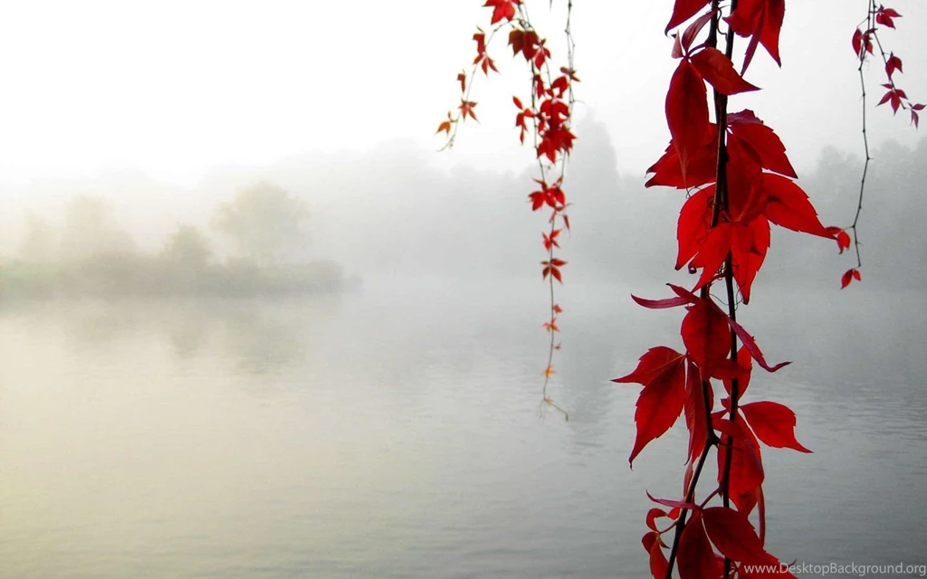 Classic Wallpaper: Ubuntu Desktop Backgrounds