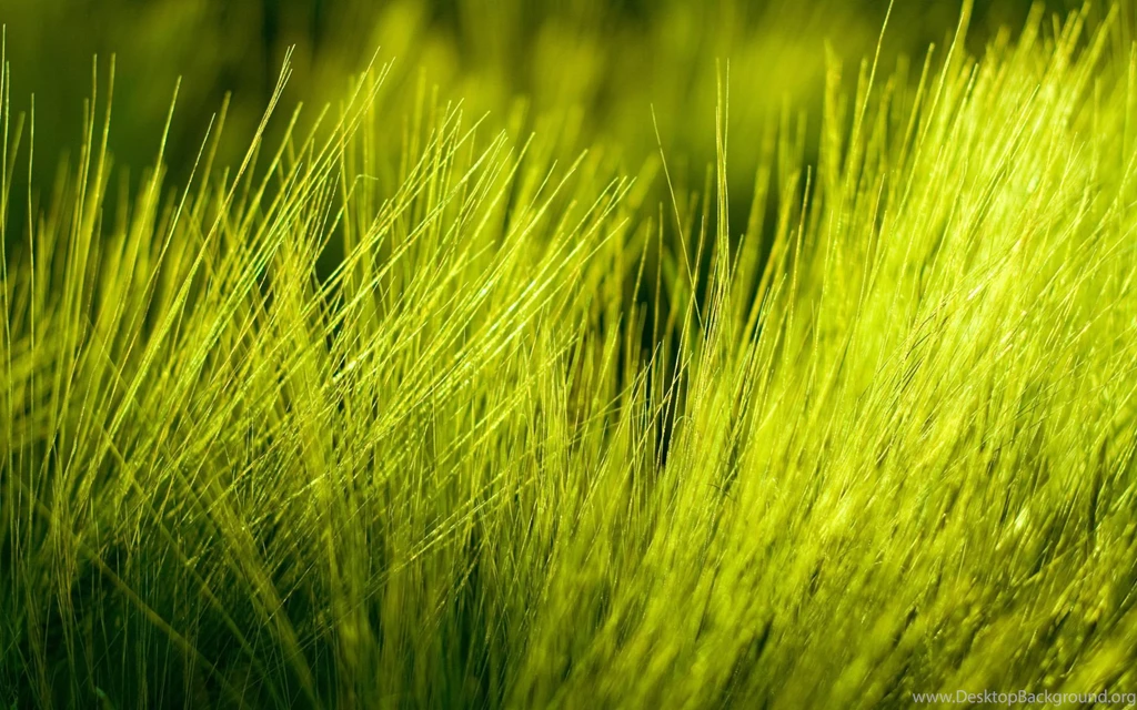 Free Desktop, Tablet And Ipad High Res Wallpapers Page 3