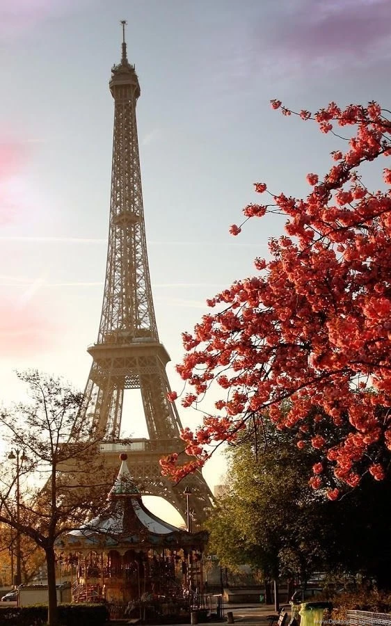 Sunny Paris Live Wallpapers