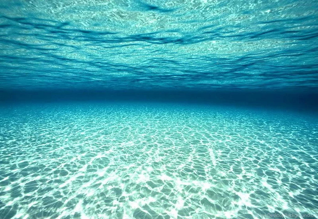 Underwater Wallpaper Backgrounds 55 Cool