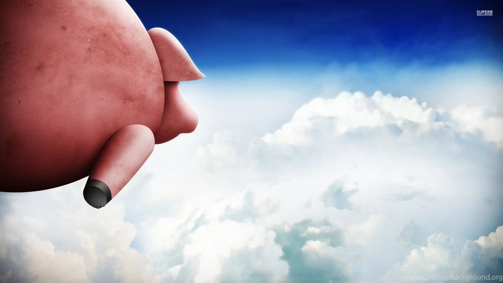 Flying Pig Wallpapers Funny Wallpapers