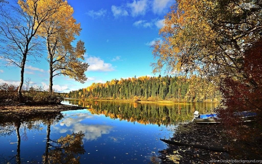 Colors Of Fall HD Wallpapers