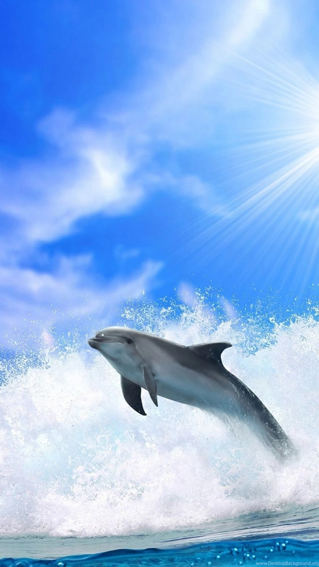 Ocean Jumping Dolphin Under Sunlight iPhone 6 Wallpapers Download ...