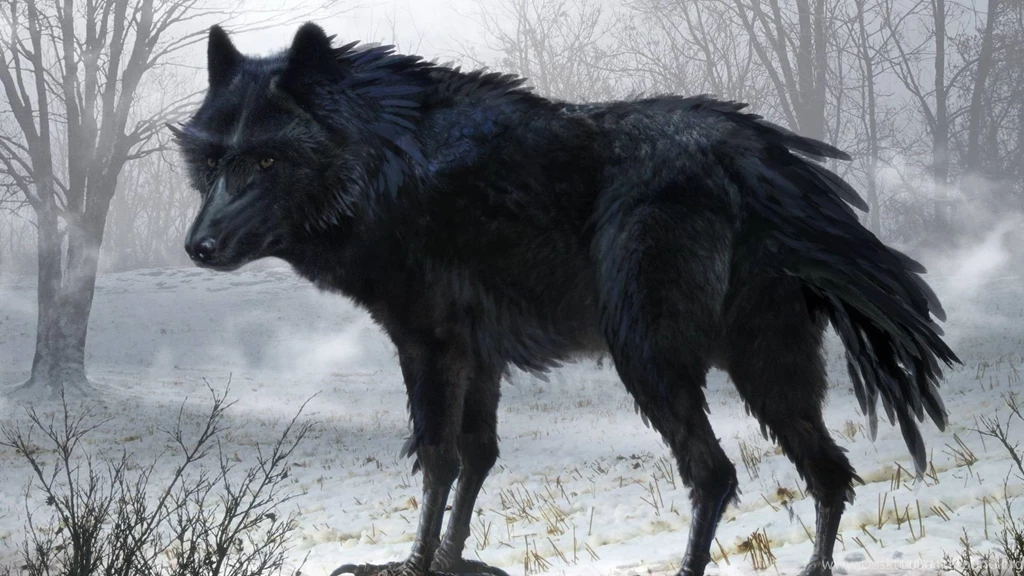 Black Wolf Art Wallpapers HD 1920x1080.jpg