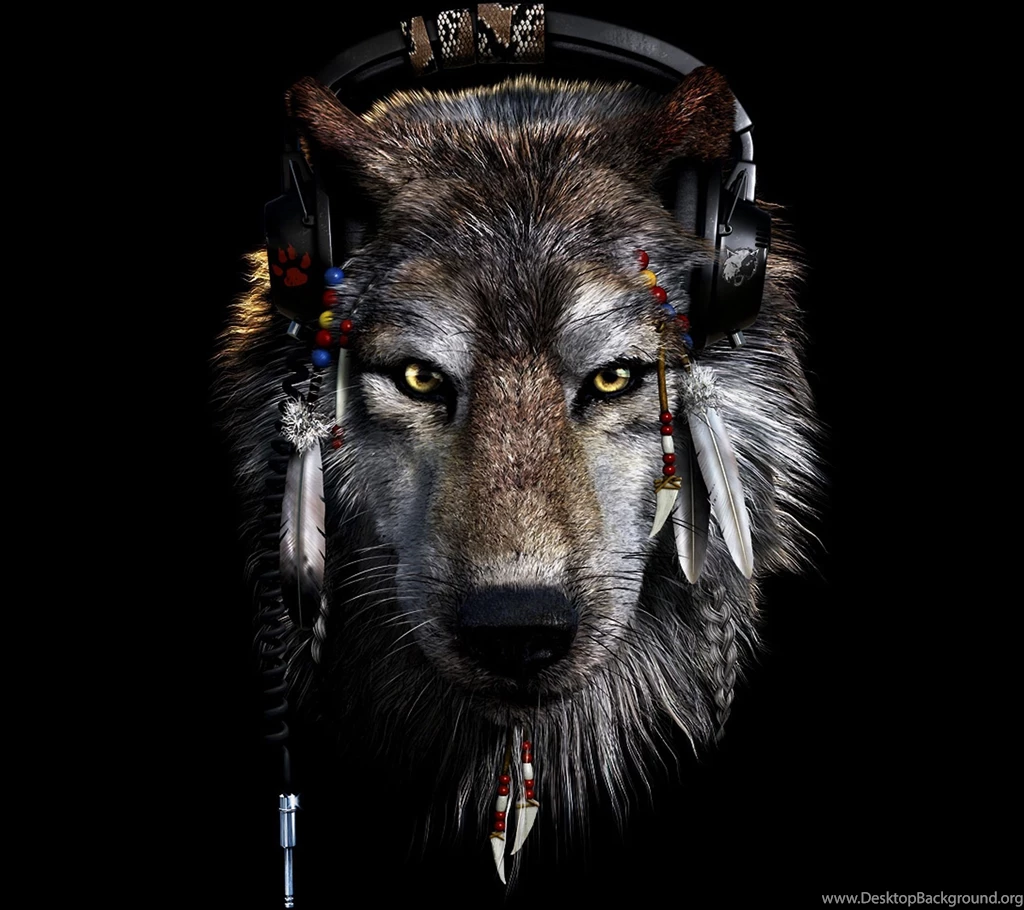 Wolf HD Photo Wallpapers 14167 HD Wallpapers Site