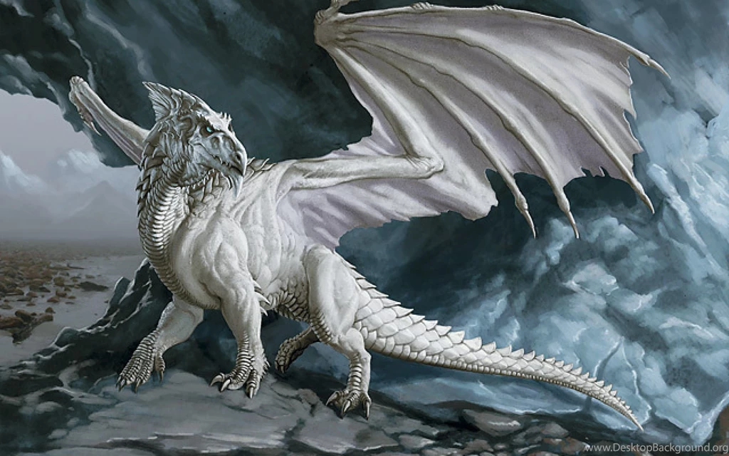 White Dragon Wallpapers