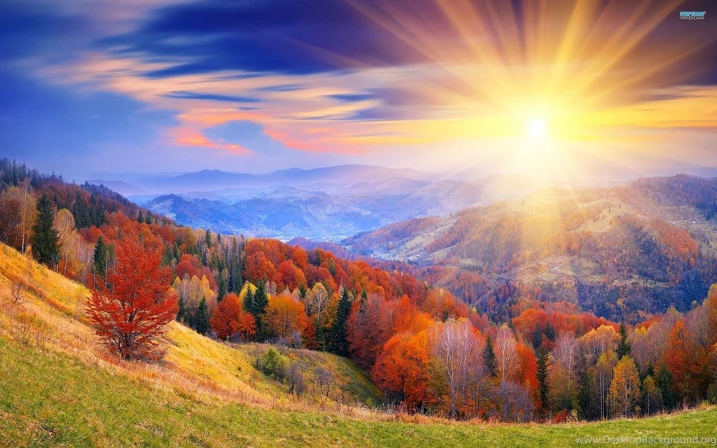 Sunrise Wallpapers
