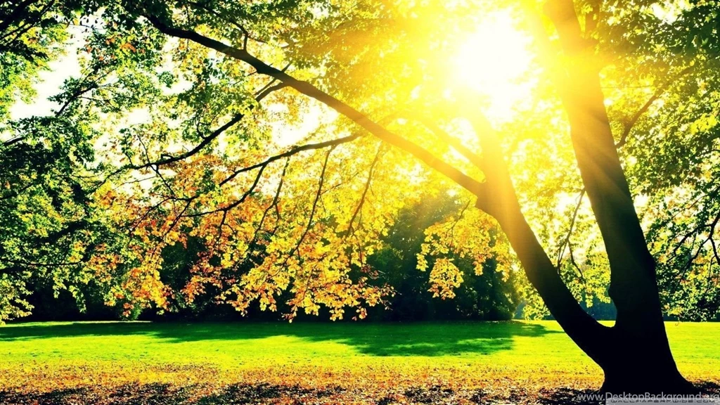 Autumn Sunrise HD Desktop Wallpapers : High Definition : Fullscreen ...