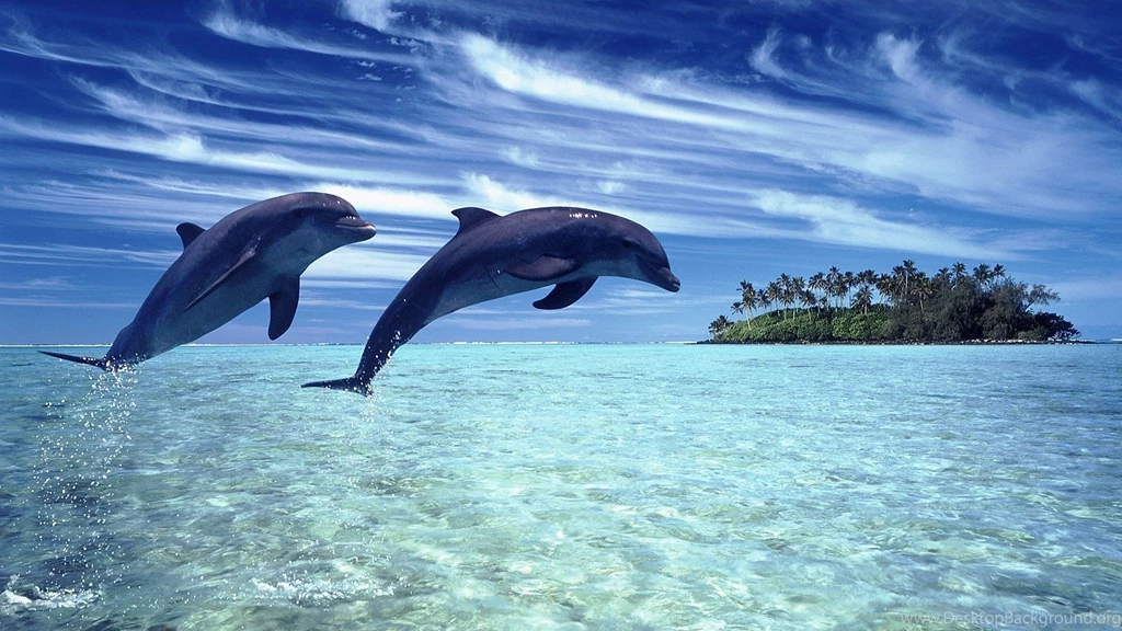 Great Nature Landscapes HD • Eclipto Modern Online Magazine