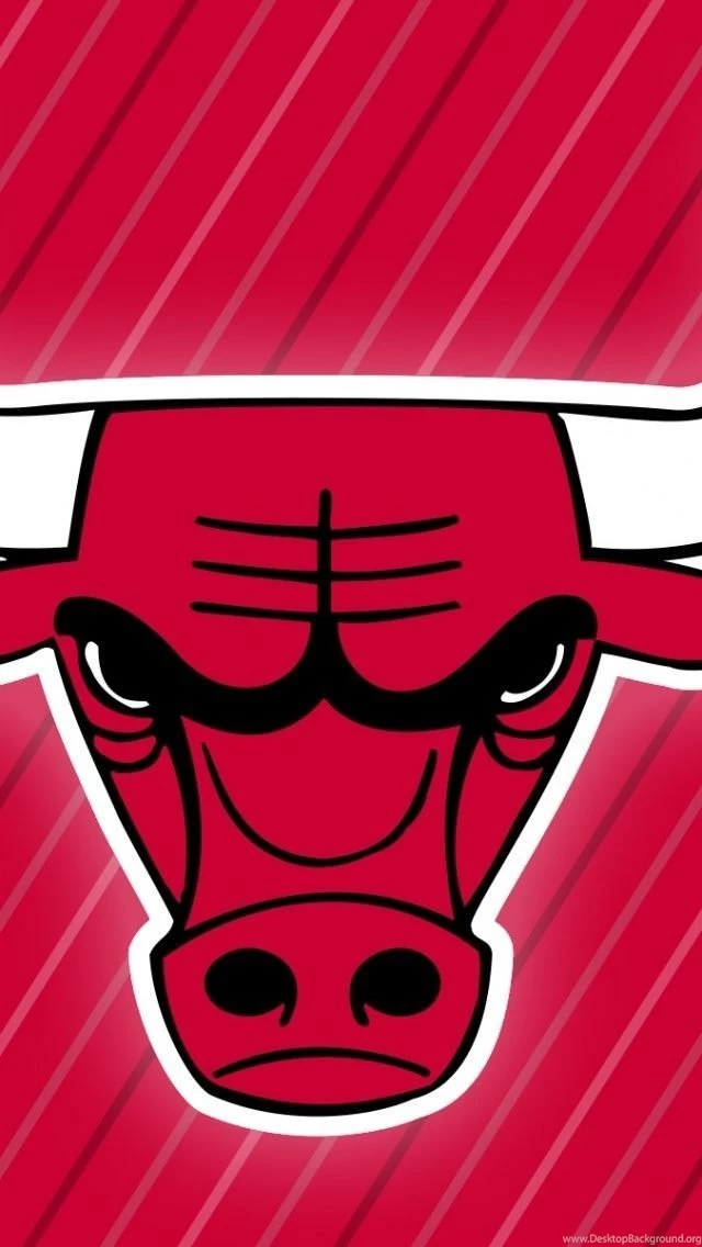 Chicago Bulls iPhone 5 Wallpapers