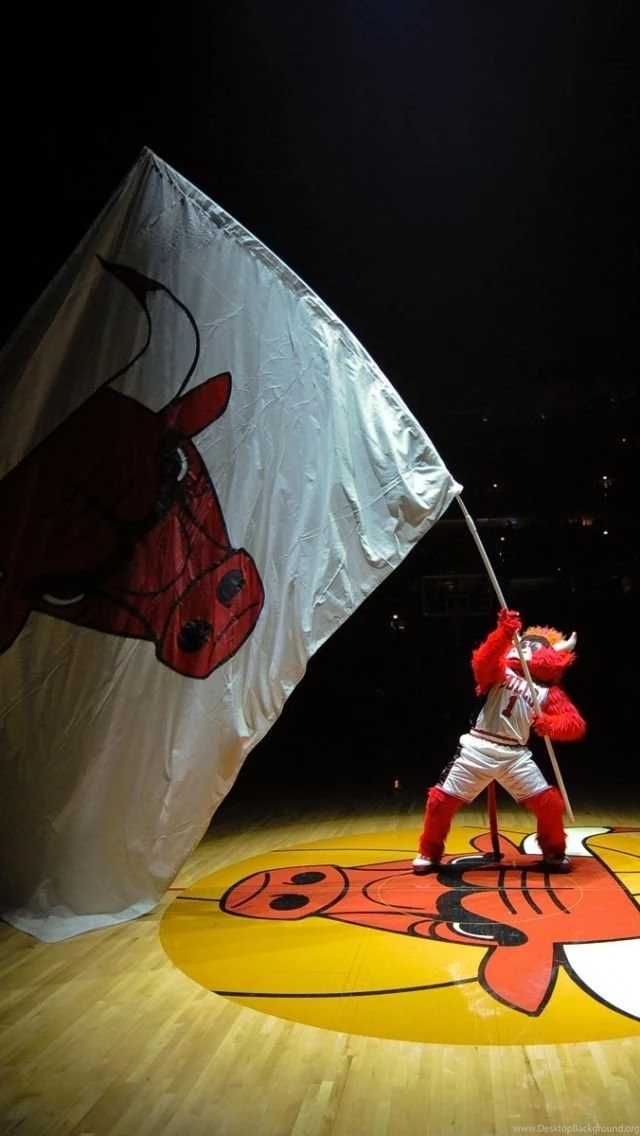 iPhone 5S, 5C, 5 Chicago Bulls Wallpapers HD, Desktop Backgrounds ...