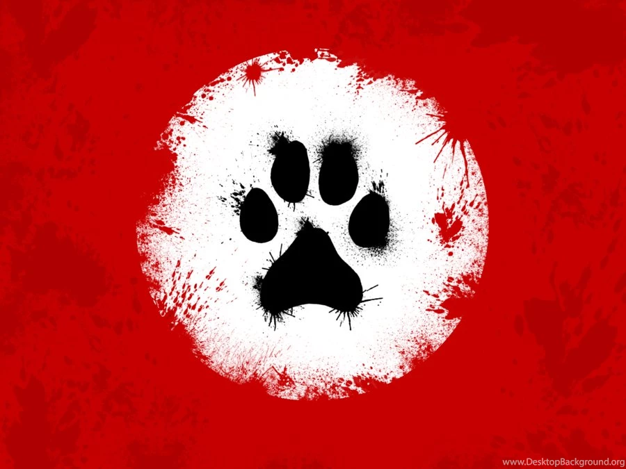 DeviantArt: More Like Furry Fandom Wallpapers By Feragor