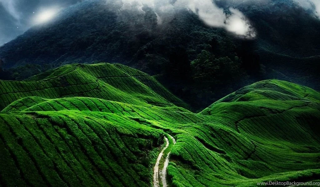 Nature Fantasy Cool Wallpapers HD 1080p