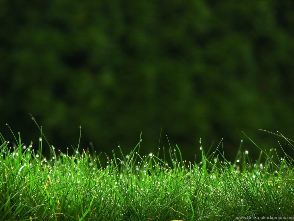 HD Nature Cool Wallpapers HD 1080p
