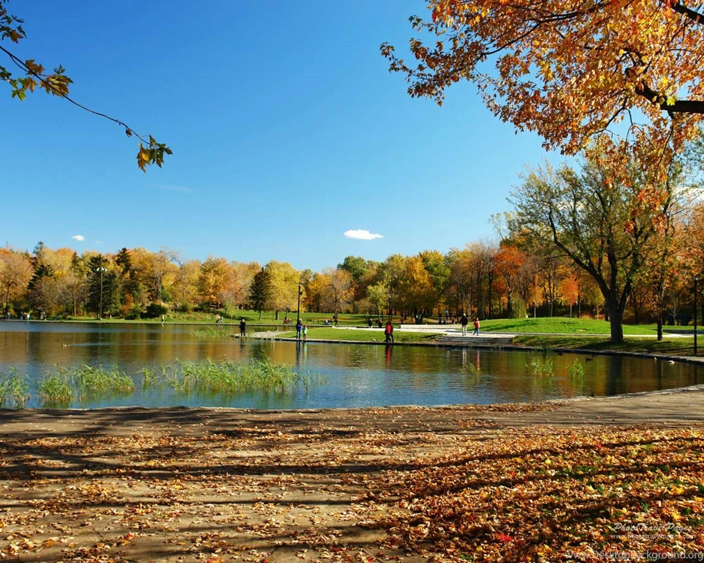 Lake Wallpapers