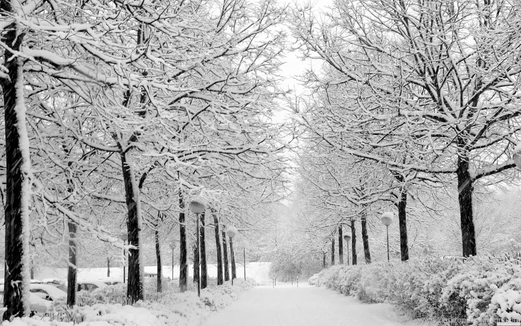 Winter Computer Wallpapers, Desktop Backgrounds