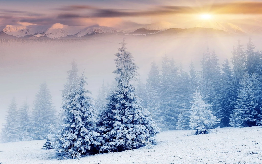 Winter Wallpapers Android Phones