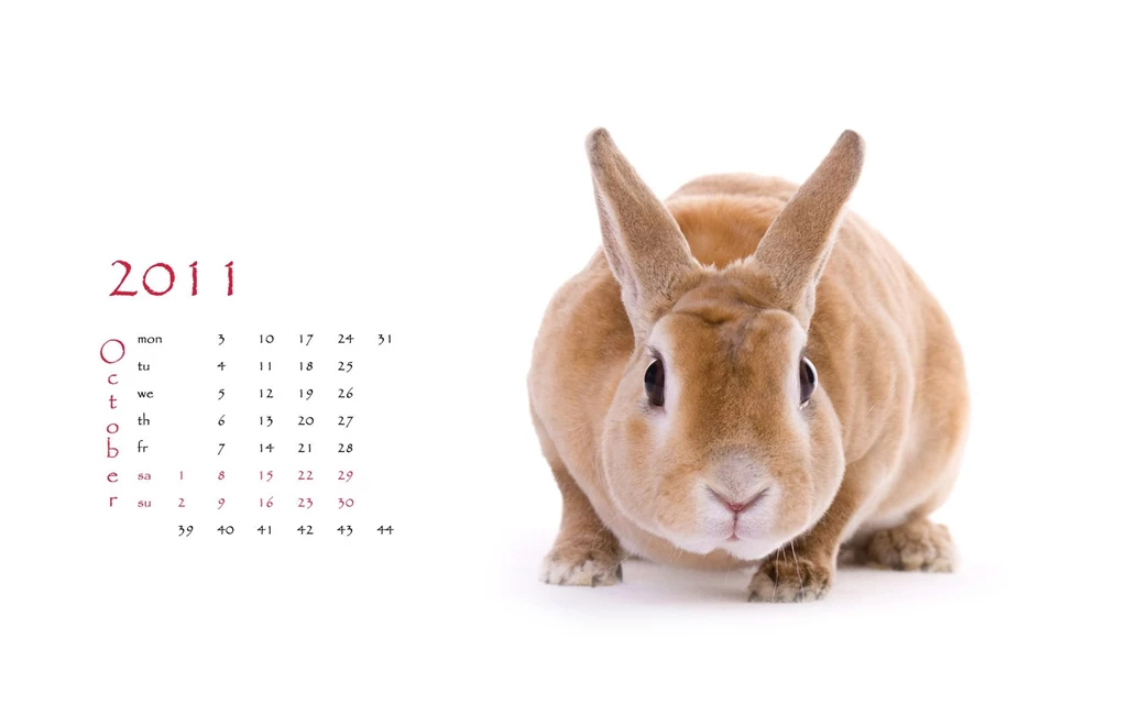Greeting Cards 12998 New Wallpapers Festival