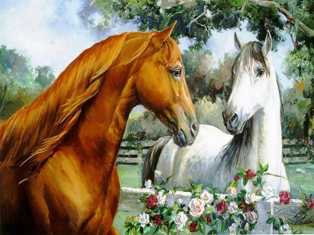 Free Horses Wallpapers Hd ~ Toptenpack.com