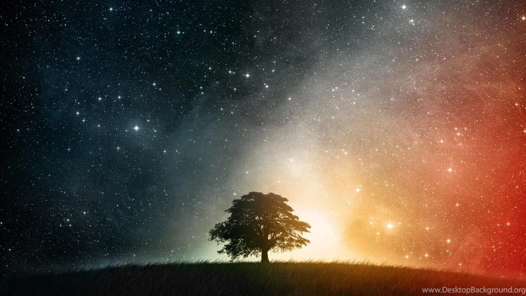 1920x1080 Night Stars Tree Desktop Wallpaper Desktop Wallpapers ...