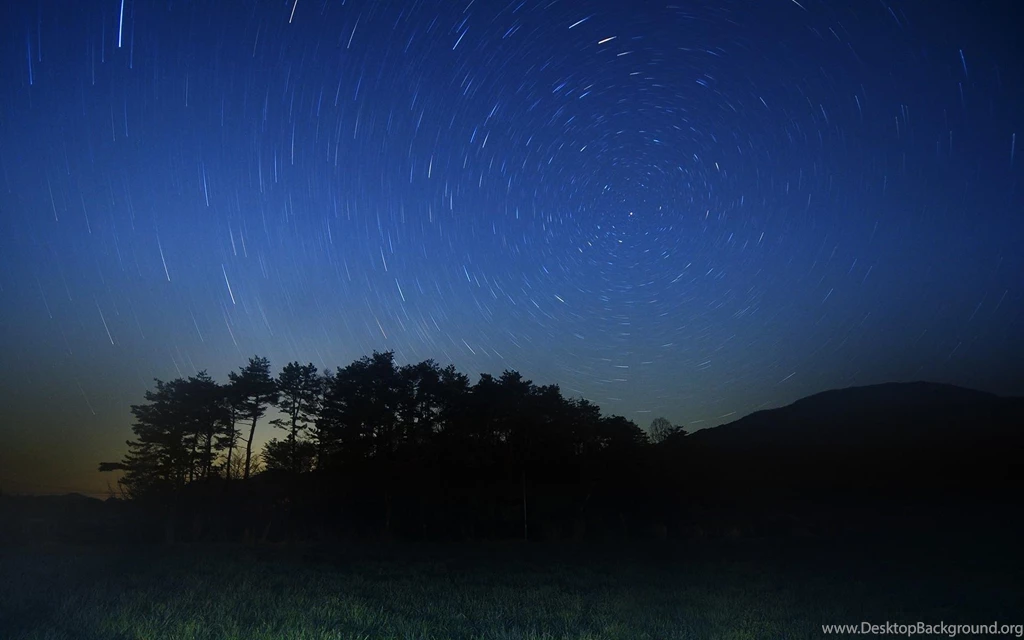 Night Stars Beautiful Grass Trees Hd Wallpapers