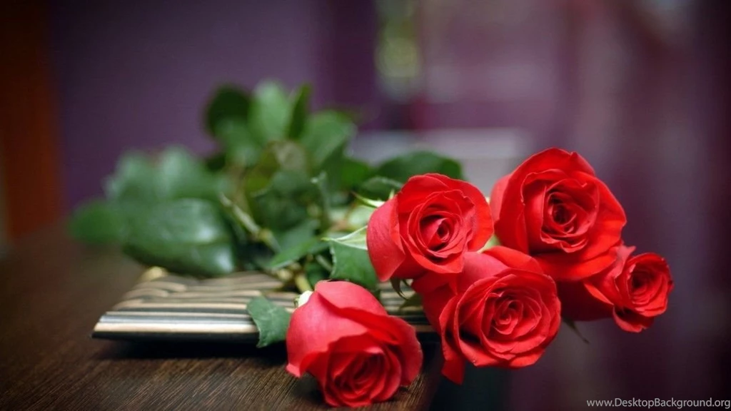 Red Rose Wallpapers
