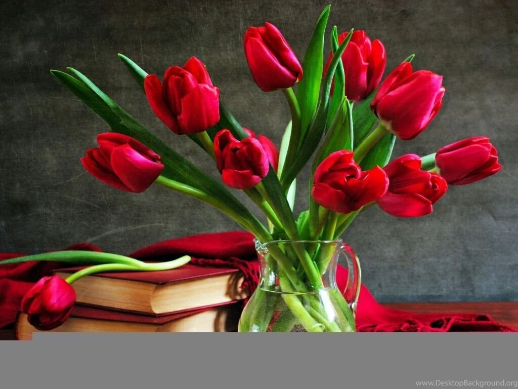 Happy Rose Day 2016 HD Wallpapers Happy Valentine's Day 2016 ...