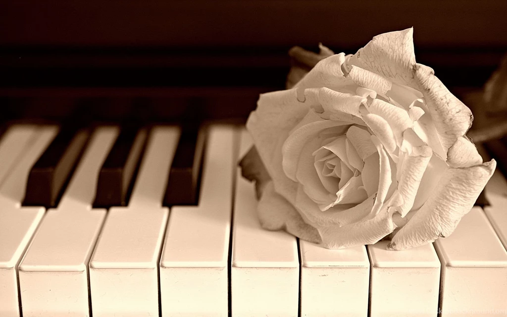Download Piano Wallpapers HD 2454 1920x1200 Px High Resolution ...