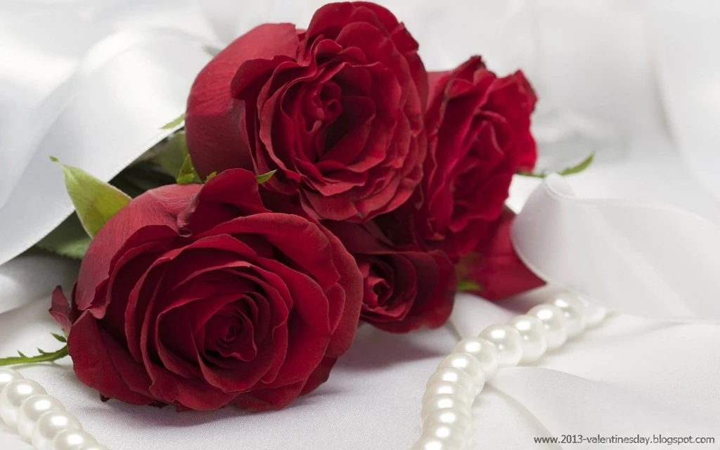 Top Red Roses Wallpapers Hd Images For Pinterest