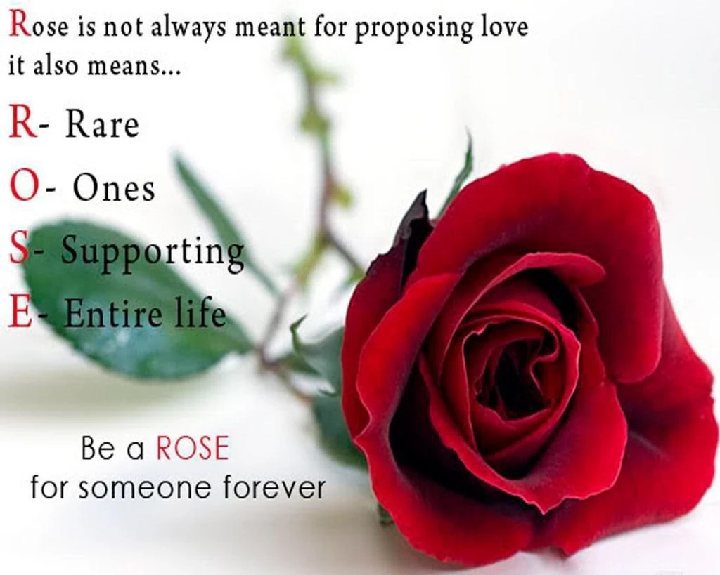 Happy Rose Day Wallpapers {images HD} Popular Wishes