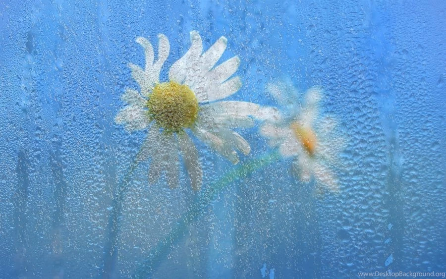 Rainy Window W8 Wallpapers By Stolichenaya On DeviantArt