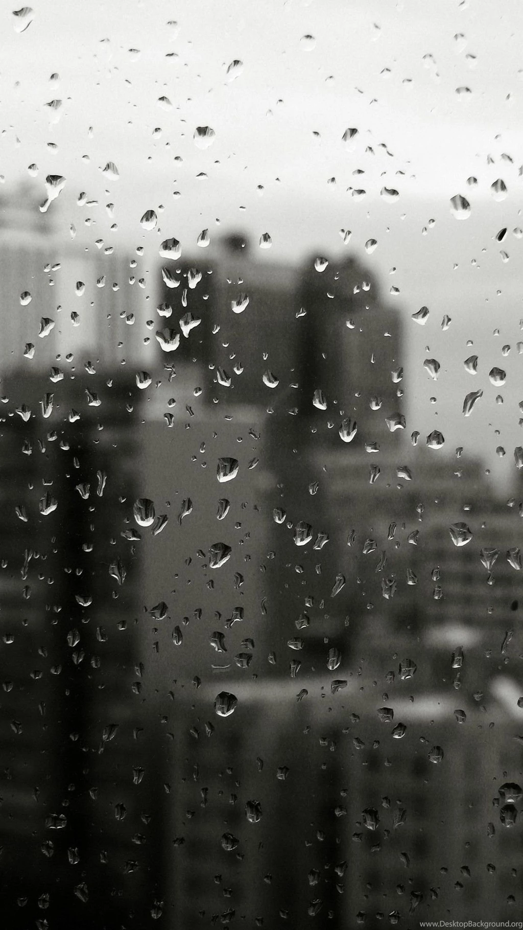 Rain Mobile Wallpapers