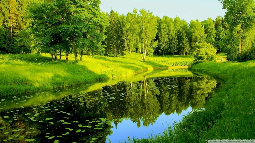 11506) Spring 1080p HD Backgrounds Wallpapers Attachment WalOps.com