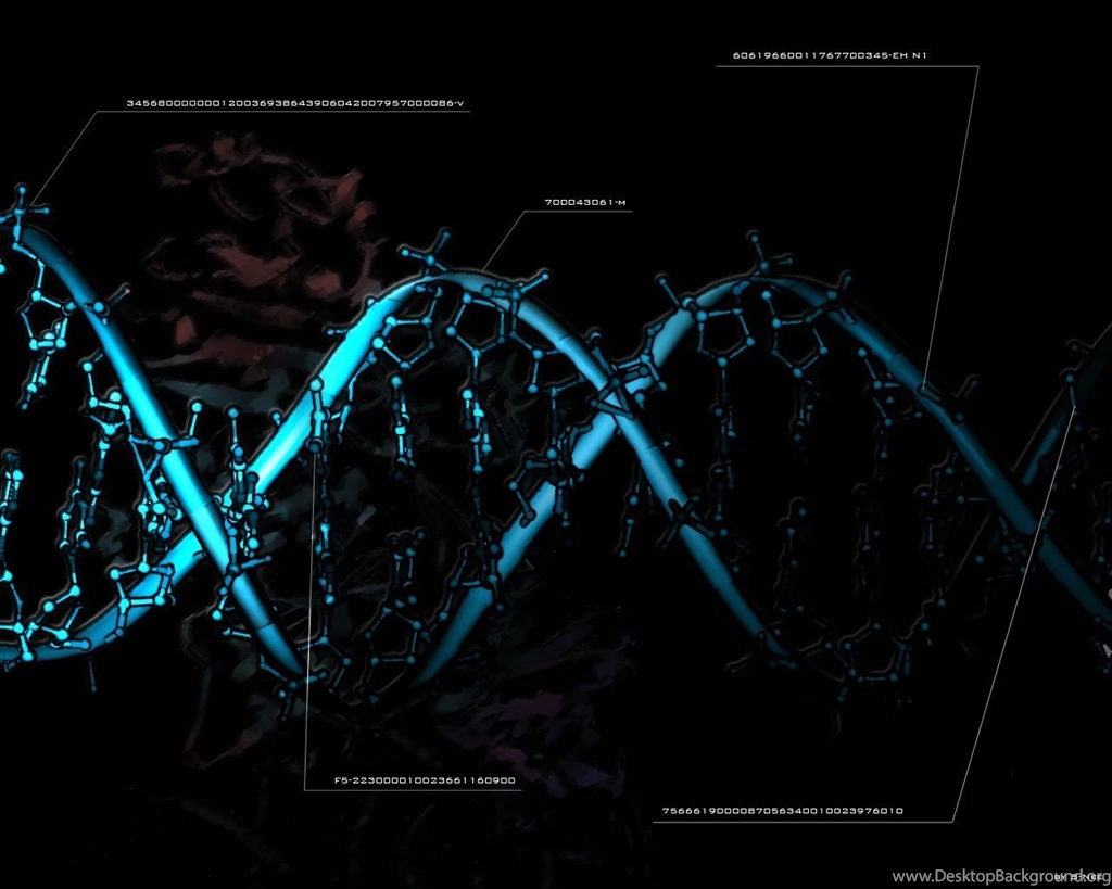 Download Dna Molecule Wallpapers 1280x1024