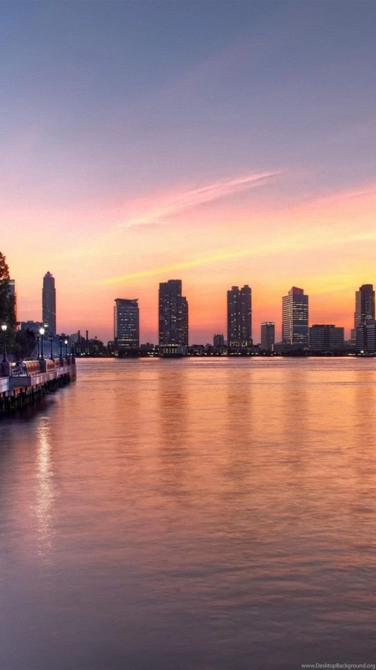 Travel Tree Sunset Sky New York Iphone 6 Wallpapers Hd And 1080p 6