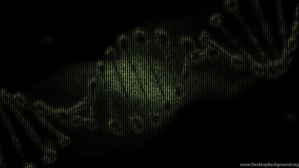 Dreamscene.org Gallery/Download Free Dreamscenes, Video Loops ...