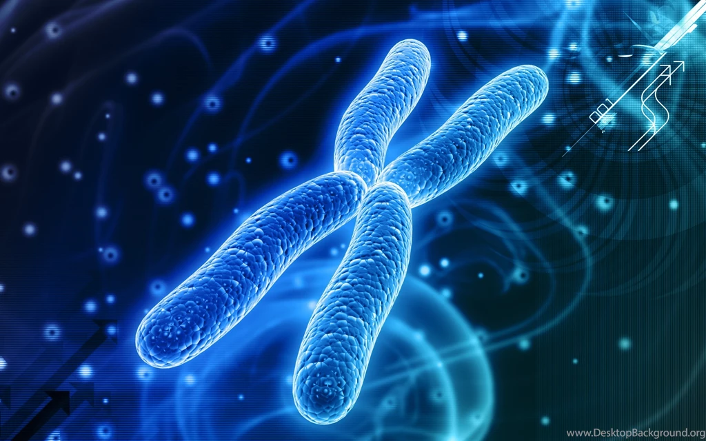 Chromosome Dna Pattern Genetic 3 d Psychedelic Wallpapers ...