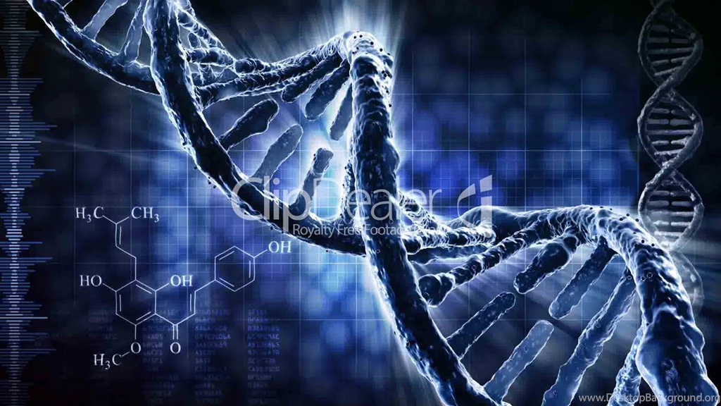 HD Quality Cool DNA Desktop Wallpapers 9 SiWallpapers 11429